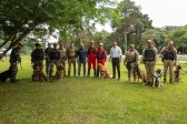 Governo vai comprar 93 cães para reforçar atividades policiais e de salvamento