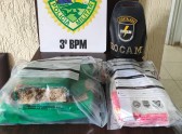 Motorista é preso com mais de 3 kg de drogas na PRC-280