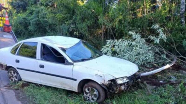 Condutor colide em árvore na PR-180 entre Francisco Beltrão e Marmeleiro