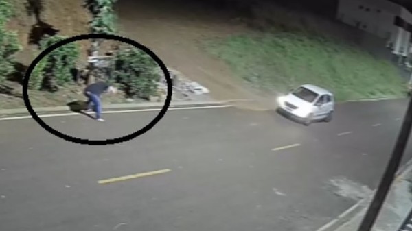 Flagrante de maus-tratos a animais causa revolta e indignação