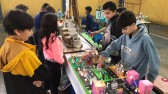 Segundo "Viva a Ciência" integra escolas da rede municipal de Beltrão