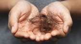 SUS inclui tratamento de câncer sem queda de cabelo que custa R$ 27 mil a sessão no particular