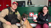 Cão policial faz doação de sangue para salvar cadela atropelada