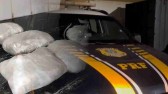 Fiscalização na BR-277 termina com apreensão de skunk e prisão de dois homens
