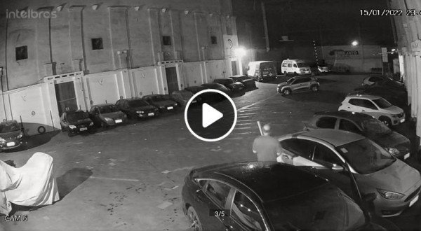 Cenas fortes: Polícia Civil investiga homem que espancou cachorro até a morte no RS
