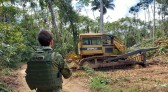 Ibama e PRF desmontam mais de 190 acampamentos na TI Yanomami