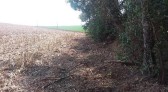 Corpo de mulher é encontrado no interior de município do Oeste de SC