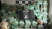 É apreendido 2,3 toneladas de maconha escondidas em carga de milho