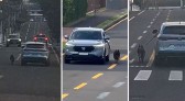 Motorista dirige carro com cachorro preso do lado de fora pela coleira