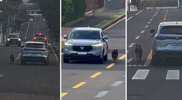 Motorista dirige carro com cachorro preso do lado de fora pela coleira