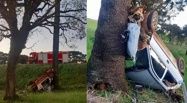 Carro capota, bate em árvore e jovem fica em estado grave