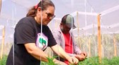 Produtores de orgânicos do Paraná serão premiados por boas práticas no campo