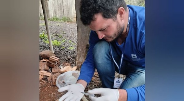 Agentes vão mapear infestação do Aedes aegypti nos bairros