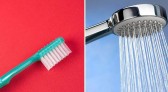 Estudo identifica mais de 600 vírus em escovas de dente e chuveiros