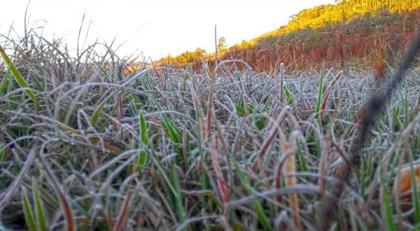 Santa Catarina tem temperatura mais baixa registrada no ano