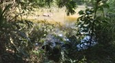 Idoso é encontrado sem vida em açude no interior de São Lourenço do Oeste