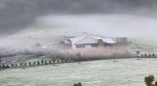 Paraná pode chegar a 1ºC e ter geadas ao longo da semana; veja previsão do tempo