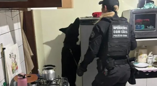 Operação prende 21 suspeitos de integrar organização criminosa no Paraná, SC e SP