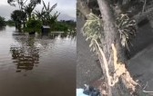 Chuvas fortes atingem 45 municípios, deixam famílias desalojadas e provocam novo tornado