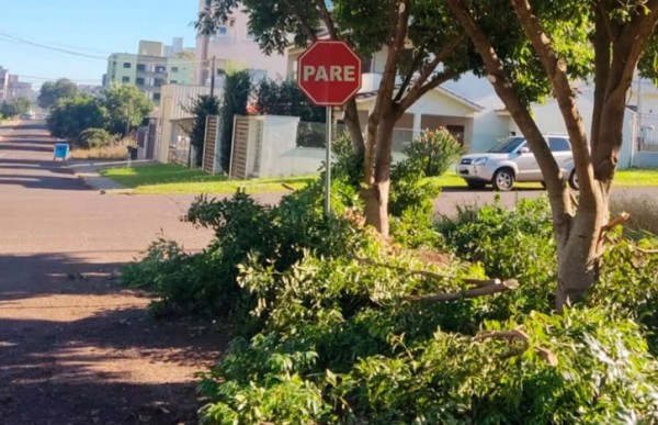 Poda de árvores e manutenção urbana somam 681 atendimentos no primeiro semestre
