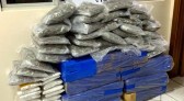PRF apreende quase 240 kg de maconha e skunk na BR 282