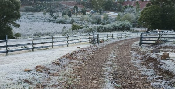 Palmas registra -3,5°C e amanhece coberta por geada nesta quarta-feira (08)