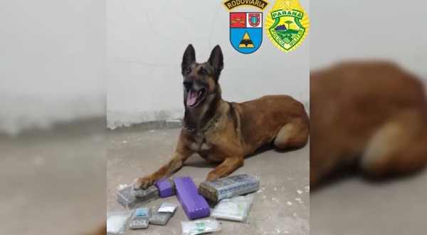 Ação conjunta resulta em prisões e apreensão de entorpecentes