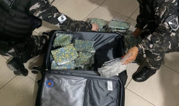 Grupo criminoso do Paraná é alvo de operação do Gaeco de Santa Catarina
