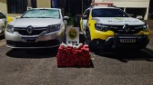 Três homens presos e quase 50 quilos de maconha apreendidos pela PM