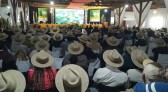 Produtores e técnicos participam de simpósio sobre cultivo de pepino