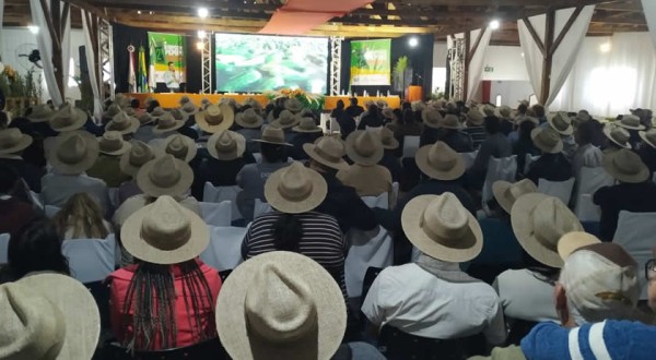 Produtores e técnicos participam de simpósio sobre cultivo de pepino