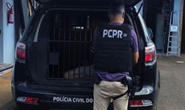 Polícia Civil prende homens por furto e receptação de portas de alumínio