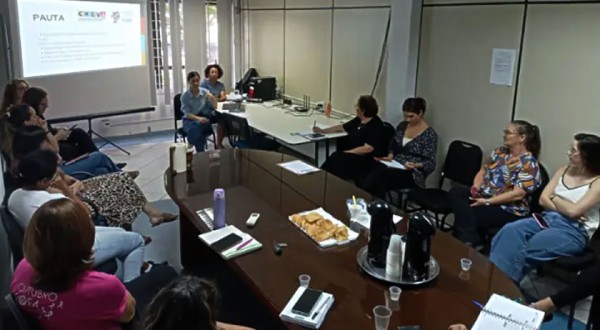 Comissão de enfrentamento à violência contra a mulher inicia atividades