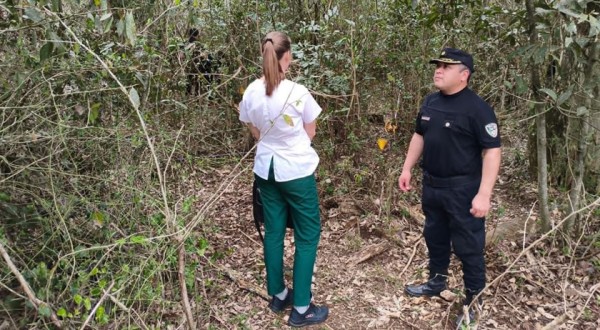 Restos humanos carbonizados são encontrados em área rural