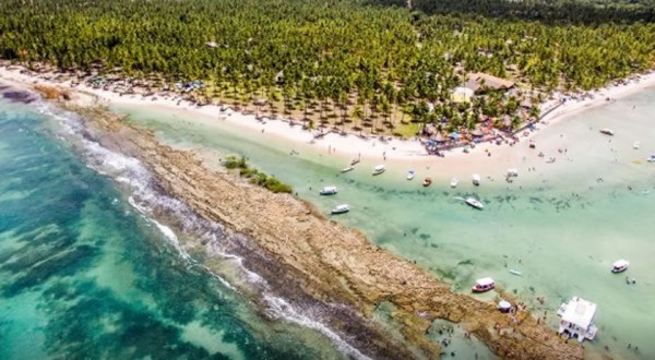 Barulho de barco e de turistas afeta comunicação de peixes, diz estudo