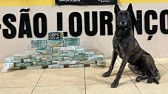 Polícia Rodoviária de São Lourenço do Oeste apreende mais de 30 kg de crack em caminhão na SC-157