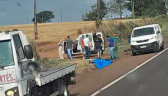 Morador de Beltrão perde a vida em acidente de transito na BR 277