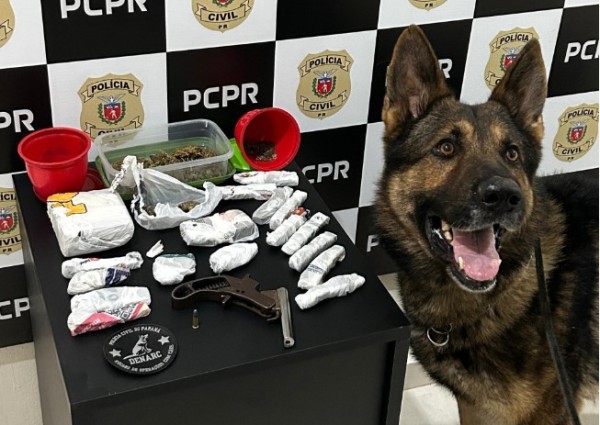 Homem é preso por tráfico de drogas e posse irregular de arma arma de fogo