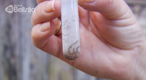 Alerta: Paraná registra mais 187 casos de dengue em uma semana