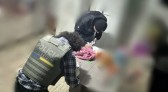 PCPR cumpre mandados de busca e apreensão contra suspeito de pedofilia em Pato Branco