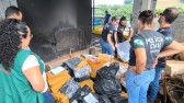 Drogas apreendidas são incineradas pela 19ª SDP