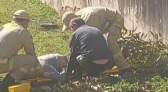 Homem de 69 anos sofre queda durante poda de árvore