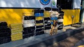 Homem é preso com mais de 800kg de maconha na PR 586