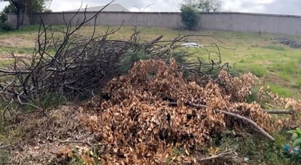 Homem de 37 anos é encontrado morto em terreno