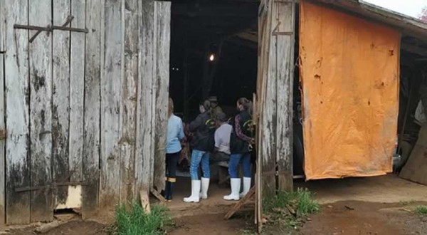 Polícia Ambiental e Cidasc flagram abatedouro clandestino