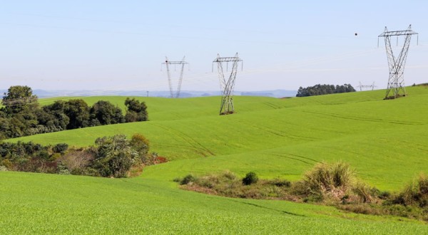 Lei que transfere limpeza do entorno da rede elétrica ao produtor é inadequada, afirma Faep
