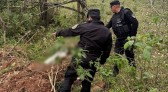 Mulher encontrada morta em área de mata é identificada como moradora de São Miguel do Oeste