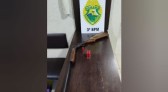 Homem é preso por embriaguez ao volante e porte ilegal de arma de fogo