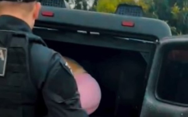 Polícia Civil e Polícia Militar prendem mulher por tráfico de drogas