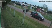 Passageiro de carro furta cavalo no KM 20; Polícia divulga imagens para encontrar suspeito